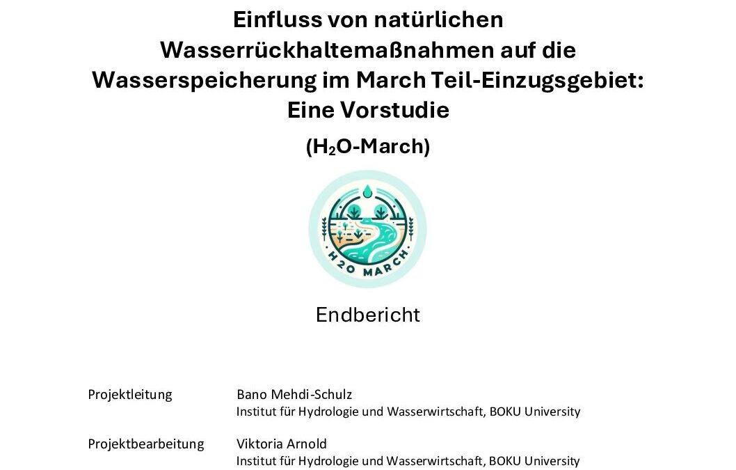 Vorstudie_Natürliche_Wasserrückhaltemassnahmen_Mehdi-Schulz_2025