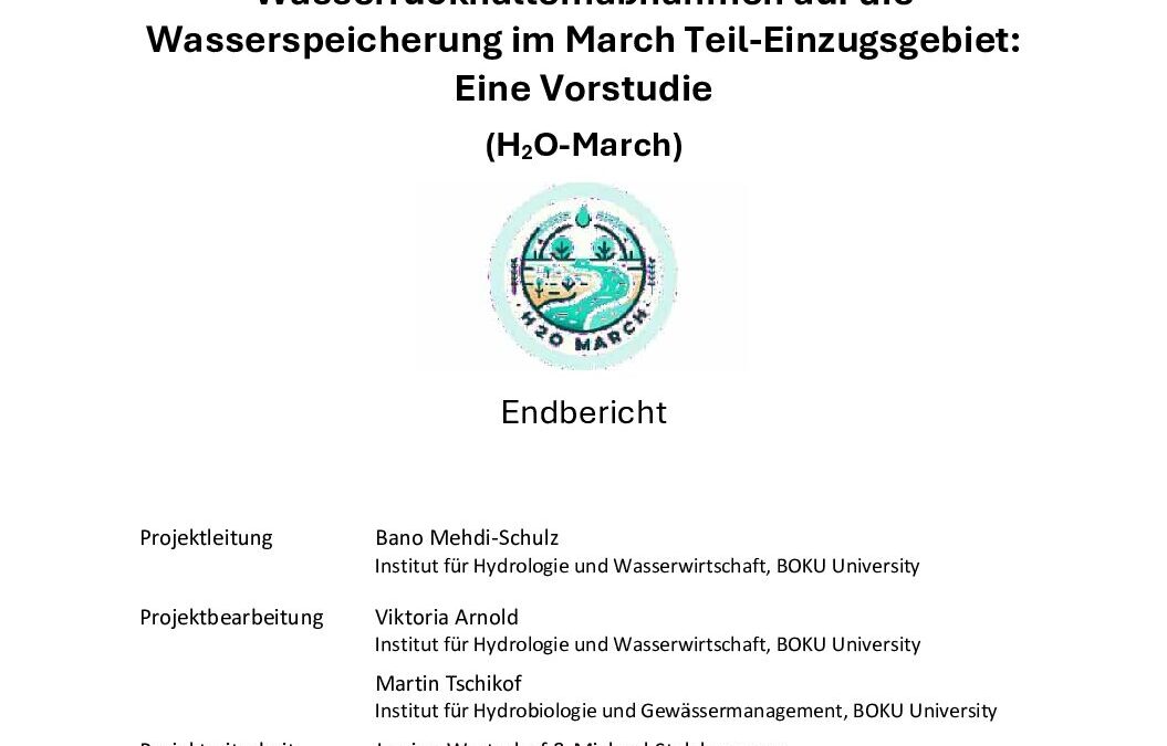 Vorstudie_Natürliche_Wasserrückhaltemassnahmen_Mehdi-Schulz_2025