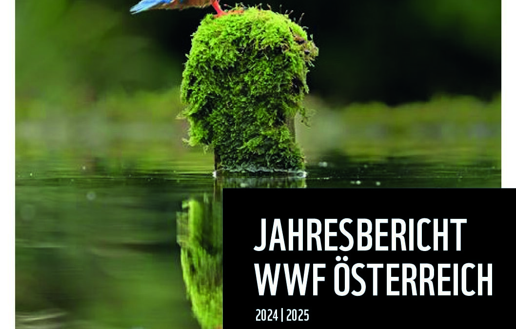WWF-AT-Jahresbericht_2024-25