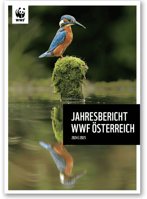 WWF Österreich Jahresbericht 2024-25 (c) Andy Rouse/naturepl.com/WWF