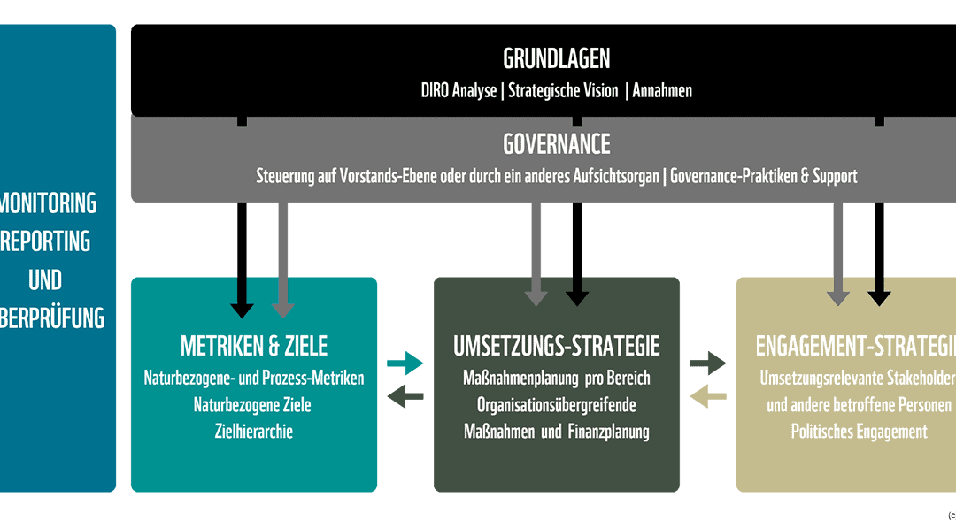 Flussdiagramm Nature Transition Plan (c) WWF