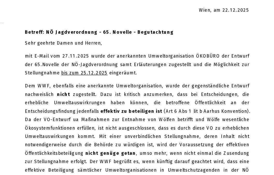 Stellungnahme_WWF_ÖB_Begutachtung_JagdVO_NÖ_2025
