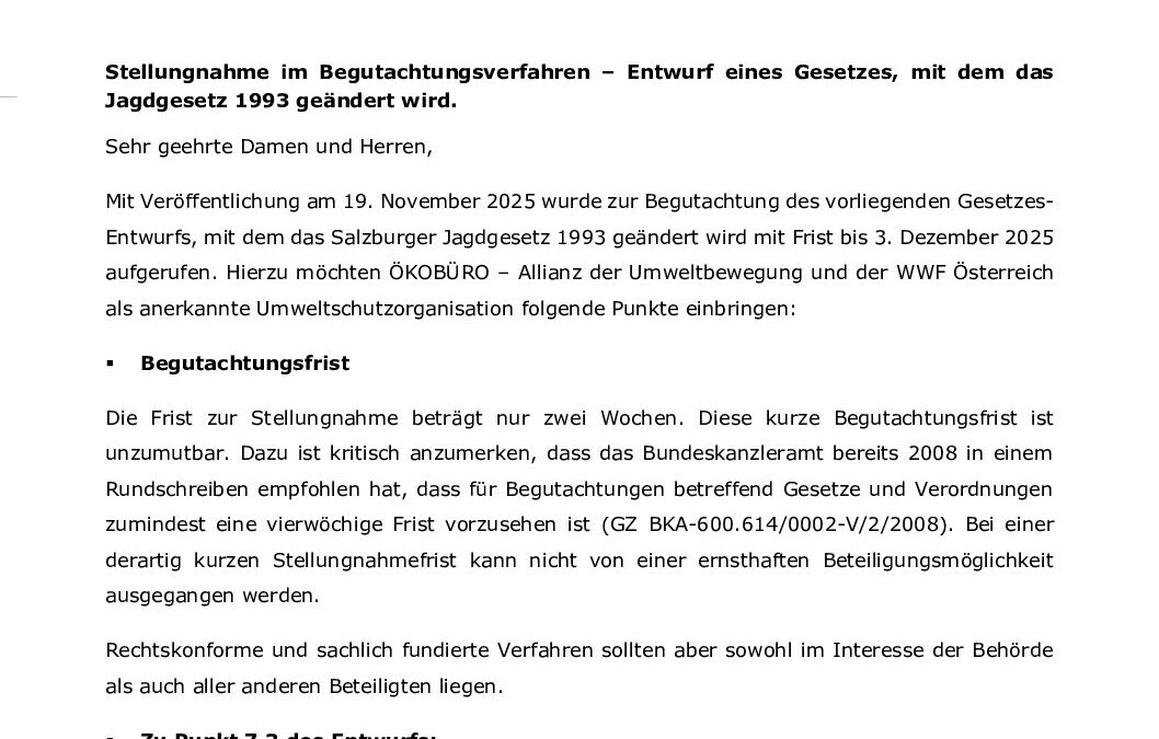 Stgn_ÖB_WWF_Begutachtung_Jagdgesetz_Salzburg_2025
