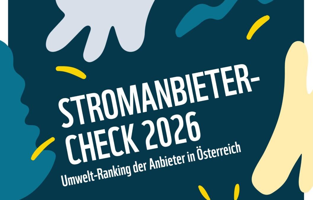 WWF Stromanbieter-Check 2026 – Methodik