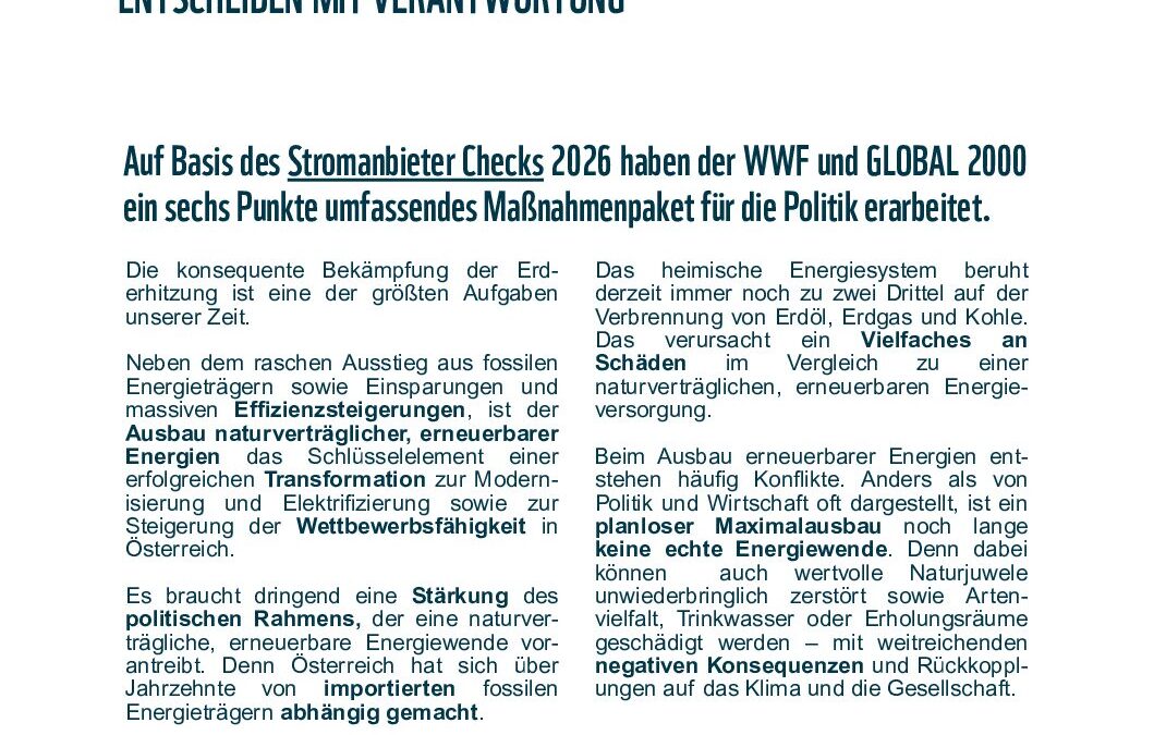 Stromanbietercheck 2026 – Maßnahmenpaket für die Politik