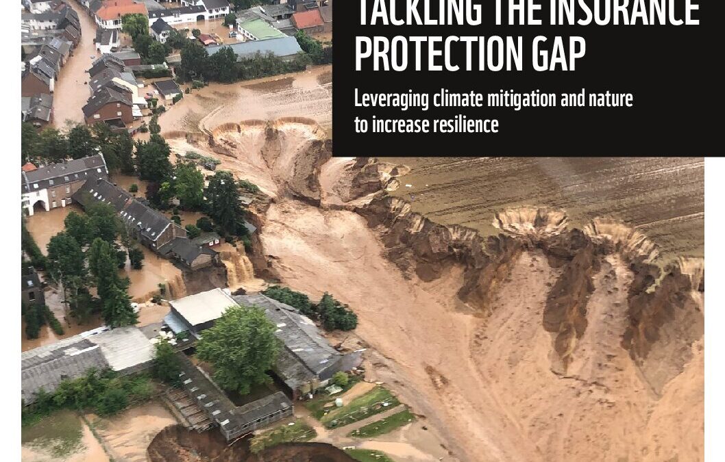 WWF Report – Tackling The Insurance Protection Gap