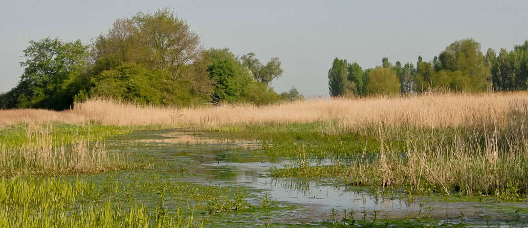 2 Sutte Lussarm Markthof (c) Gerhard Egger