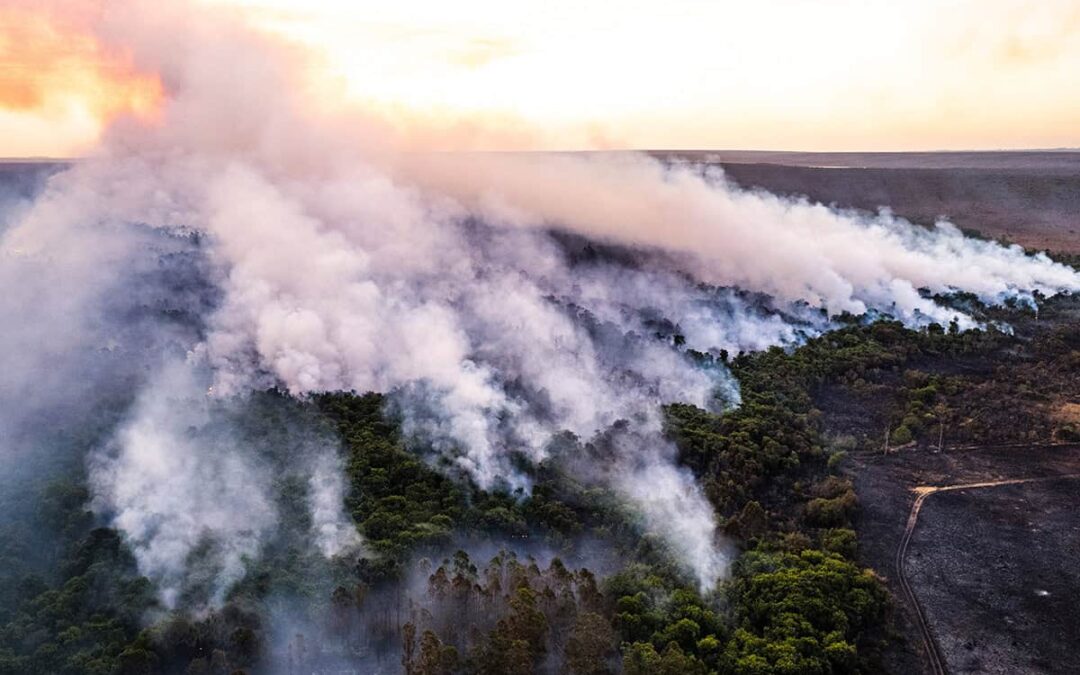 Feuer im Brasilia Nationalpark (c) Jacqueline Lisboa WWF-Brazil
