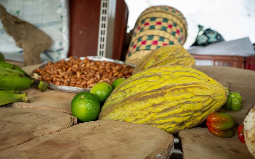 Kakaofrucht und Kakaobohnen (c) Catalina Castro