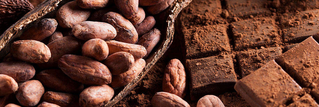 Kakaobohnen und Schokolade (c) AdobeStock 122302193