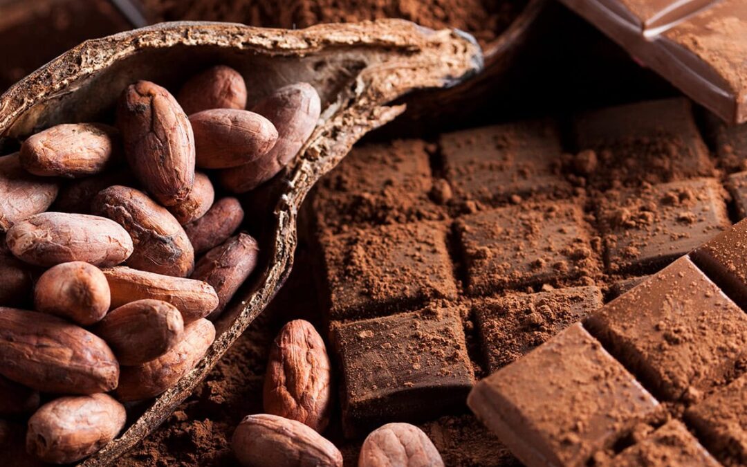 Kakaobohnen und Schokolade (c) AdobeStock 122302193