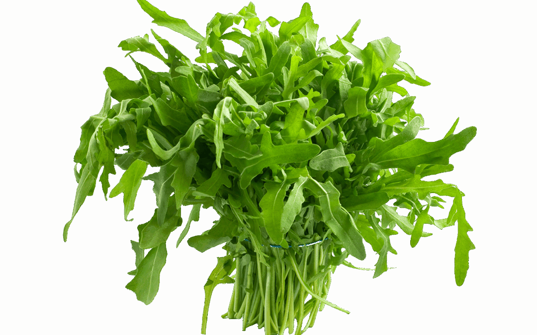 Ruccola Salat (c) AdobeStock_32948396