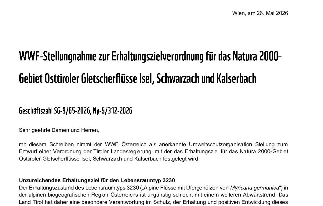 WWF-Stellungnahme_Erhaltungszielverorndung_Osttiroler_Gletscherflüsse_20260526
