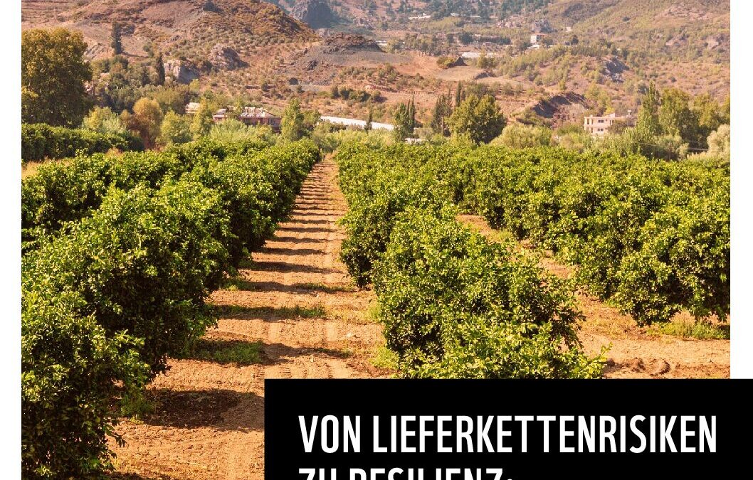 WWF_2026_Retailer_Collective_Action_Landscape_Engagement_Report_DE