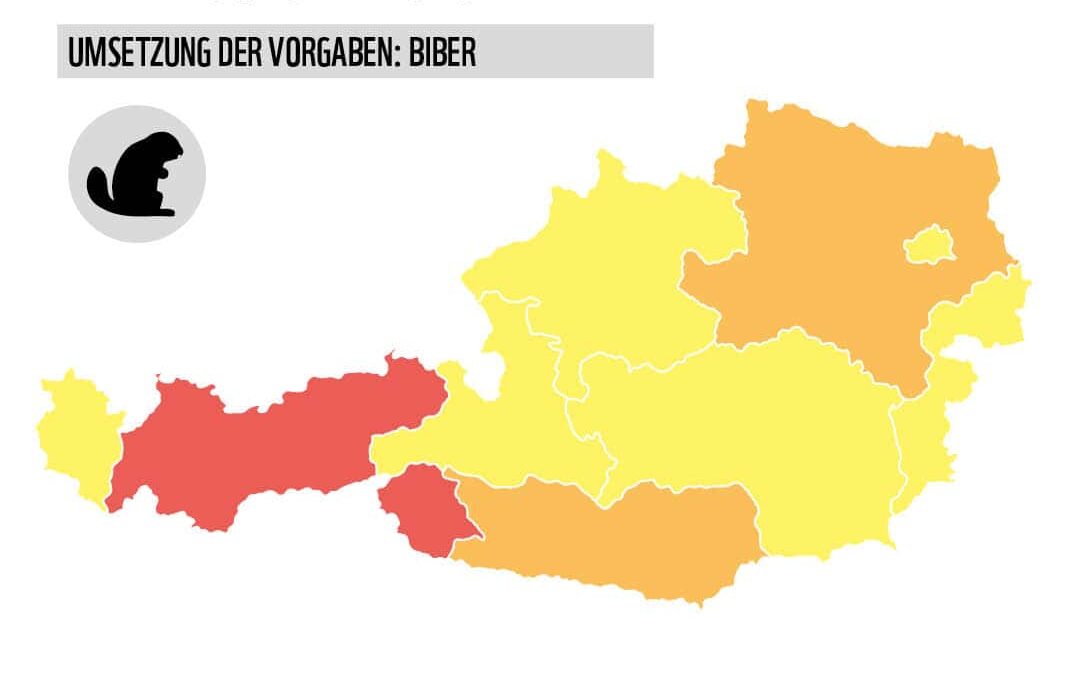 Grafik Karte Österreich mit Bundesländern Artenschutz Biber (c) WWF
