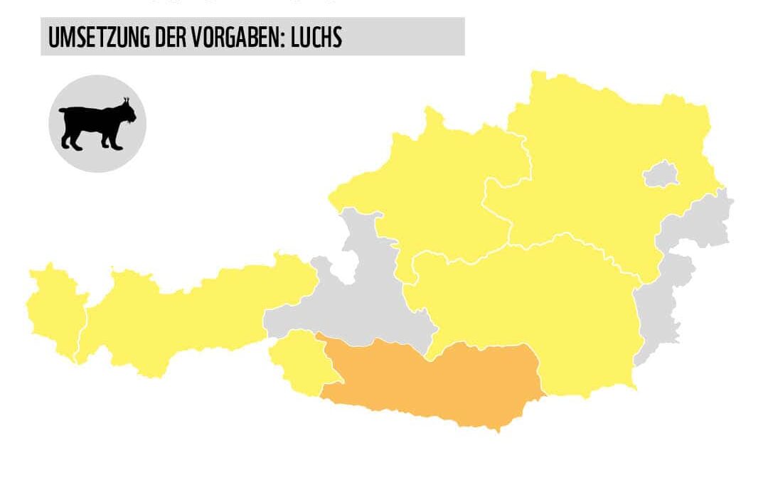 Grafik Karte Österreich mit Bundesländern Artenschutz Luchs (c) WWF