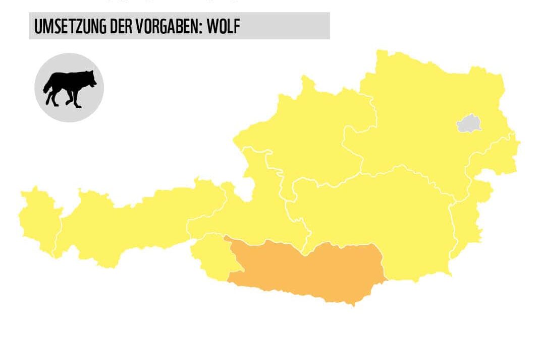Grafik Karte Österreich mit Bundesländern Artenschutz Wolf (c) WWF