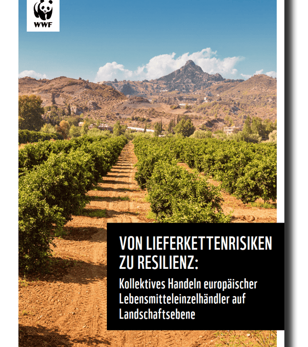 Cover zur WWF Studie Von Lieferkettenrisiken zu Resilienz (c) WWF