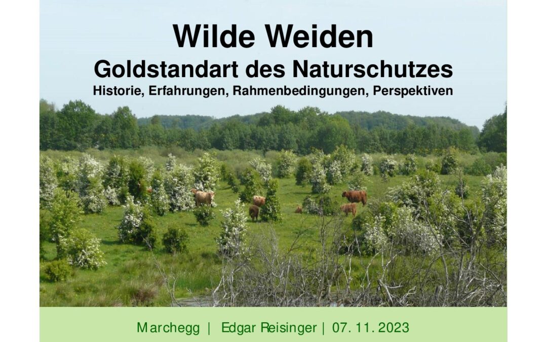wwf-at_tagung_marchegg_20231107_Edgar Reisinger