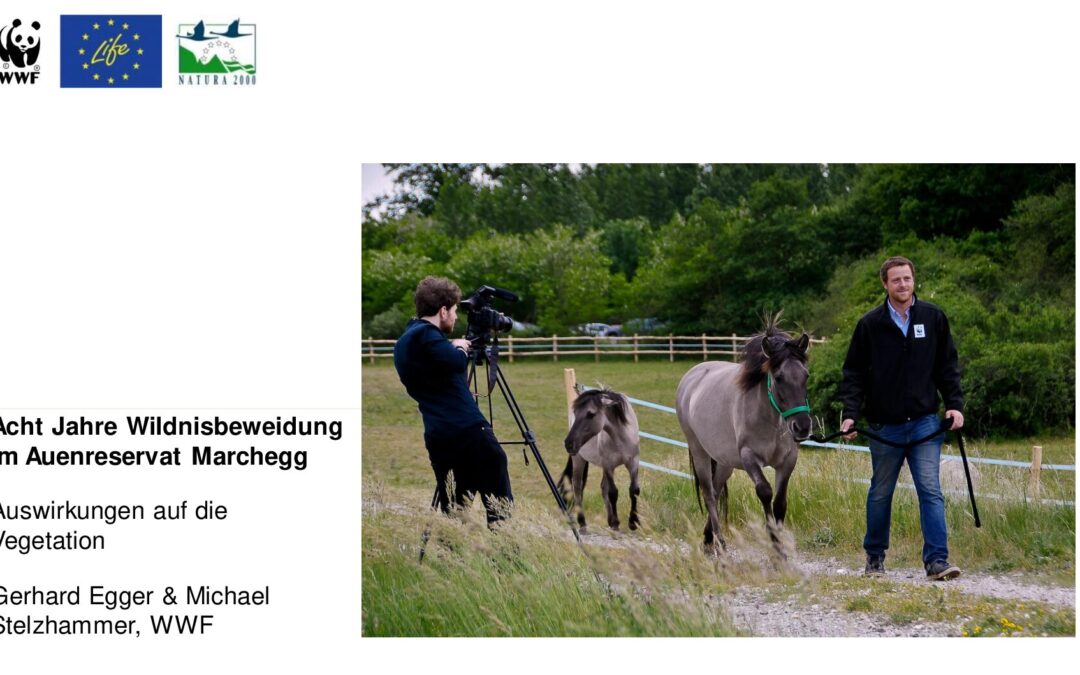 wwf-at_tagung_marchegg_20231107_Gerhard Egger