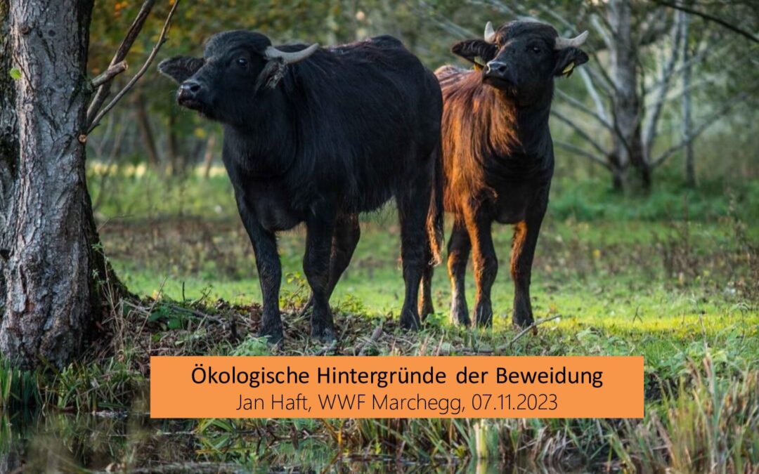 wwf-at_tagung_marchegg_20231107_Jan Haft