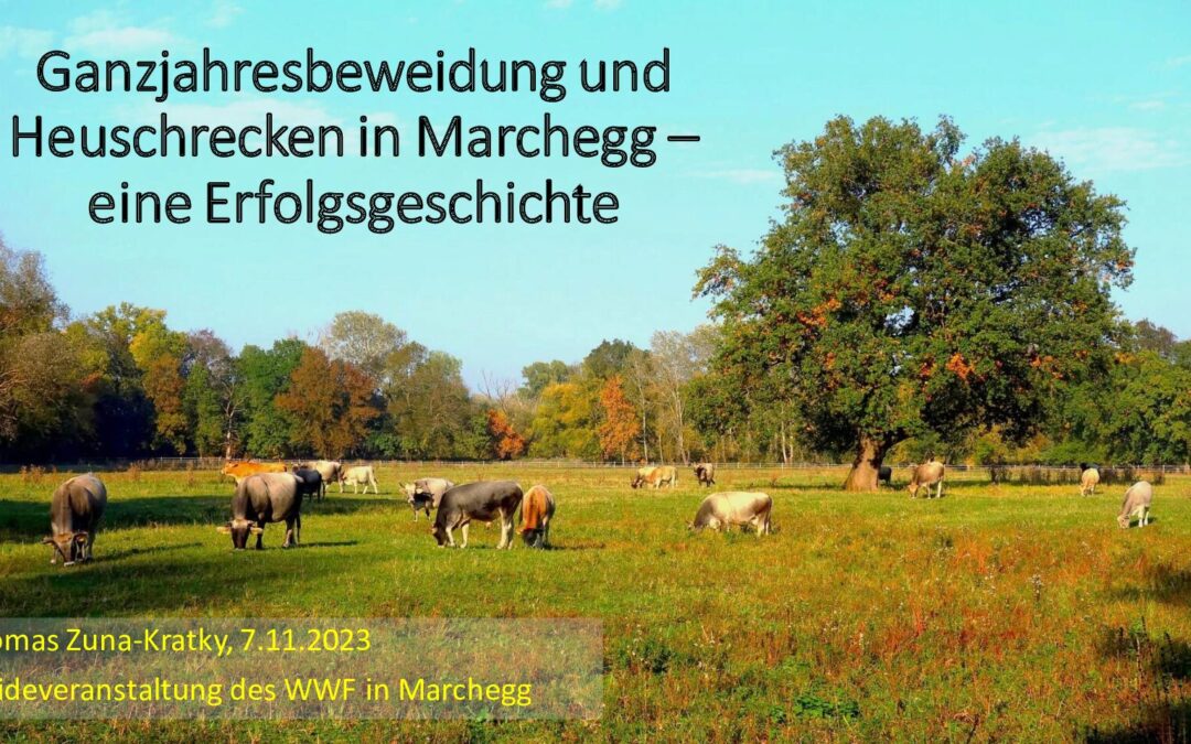 wwf-at_tagung_marchegg_20231107_Thomas Zuna-Kratky