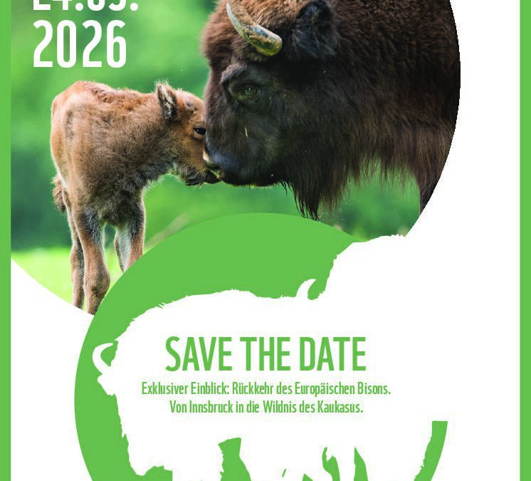 Savethedate_Rückkehr des Europäischen Bisons
