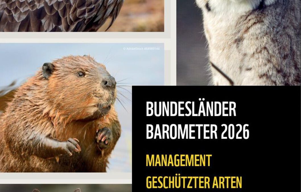 WWF Bundesländerbarometer Artenschutz