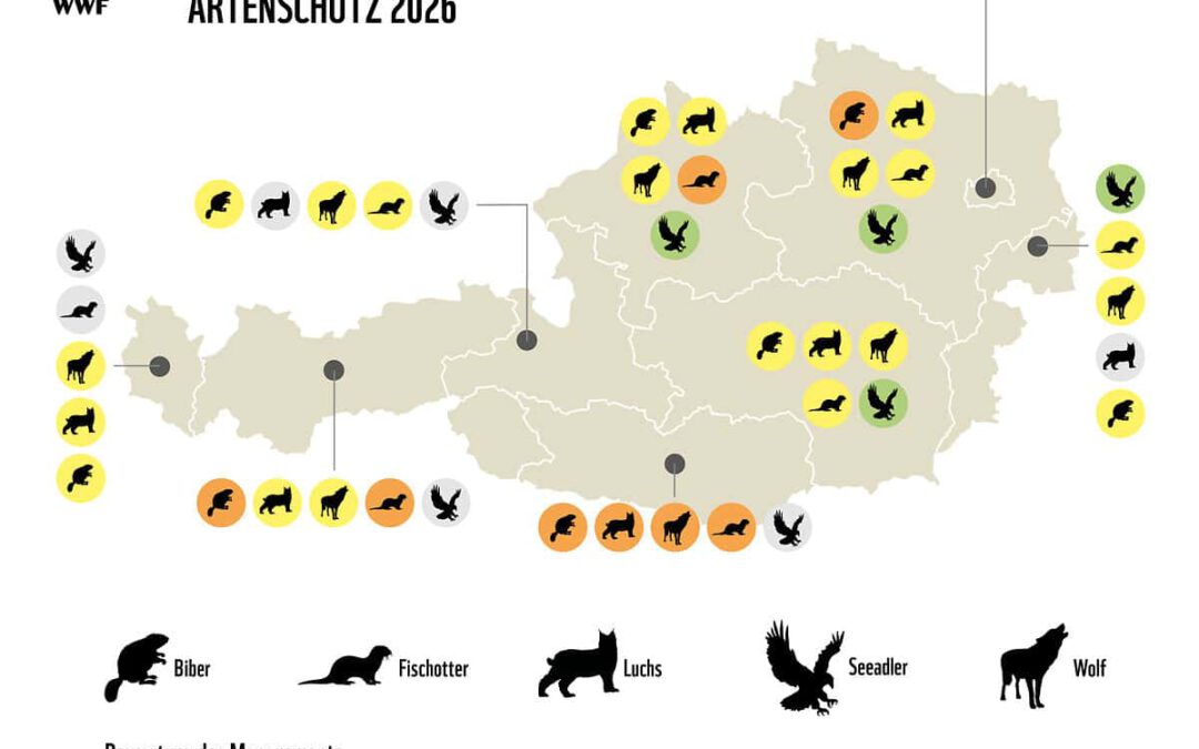 Zusammenfassung WWF Bundesländerbarometer 2026 (c) WWF