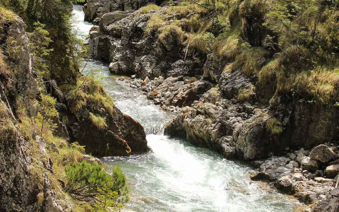 Der Namloserbach rauscht durch eine felsige Schlucht mit steilen Ufern © Reinhard Uhrig/WWF Österreich