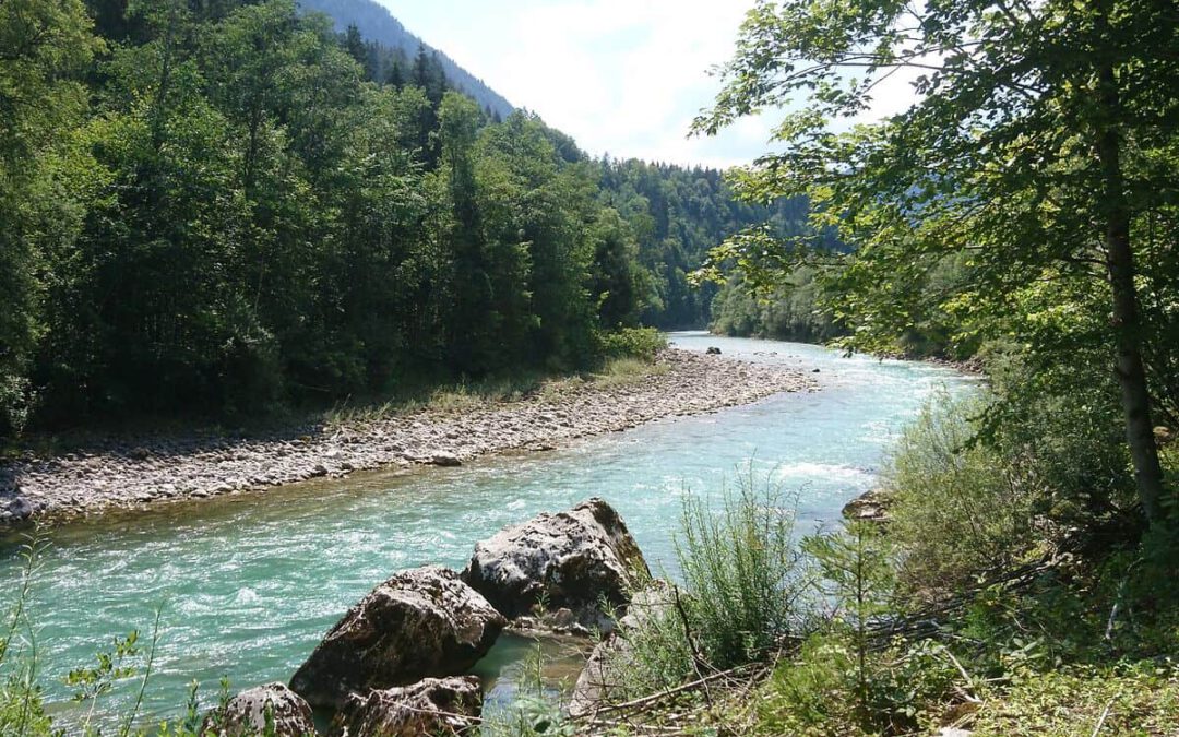 Saalach mit naturnahem Ufer © Guido Kruetschnigg
