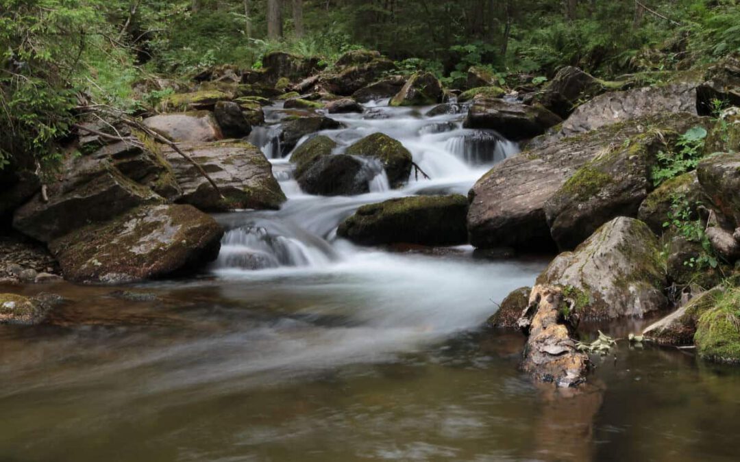 Wilde Schwarze Sulm Urberl Schlucht © Walter Postl