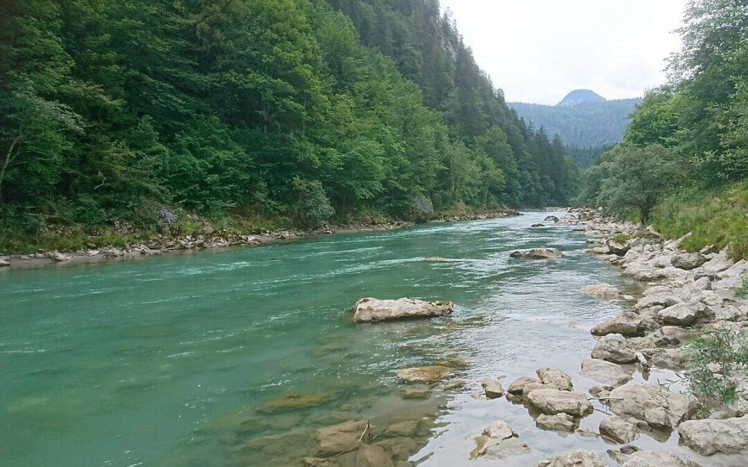 Die Saalach fließt türkisgrün zwischen bewaldeten Hängen und felsigem Ufer © Guido Kruetschnigg