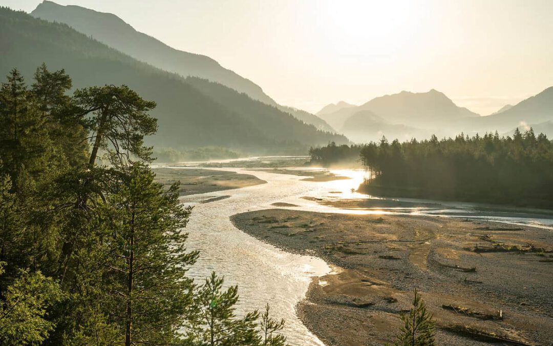 Der Tiroler Lech verzweigt sich in einer breiten Kieslandschaft zwischen bewaldeten Bergen © Sebastian Froelich