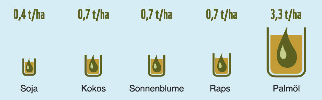 Ölerträge der Pflanzen im Vergleich