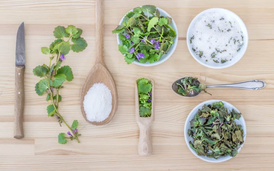 Frühlingstipp: Kräutersalz selber machen