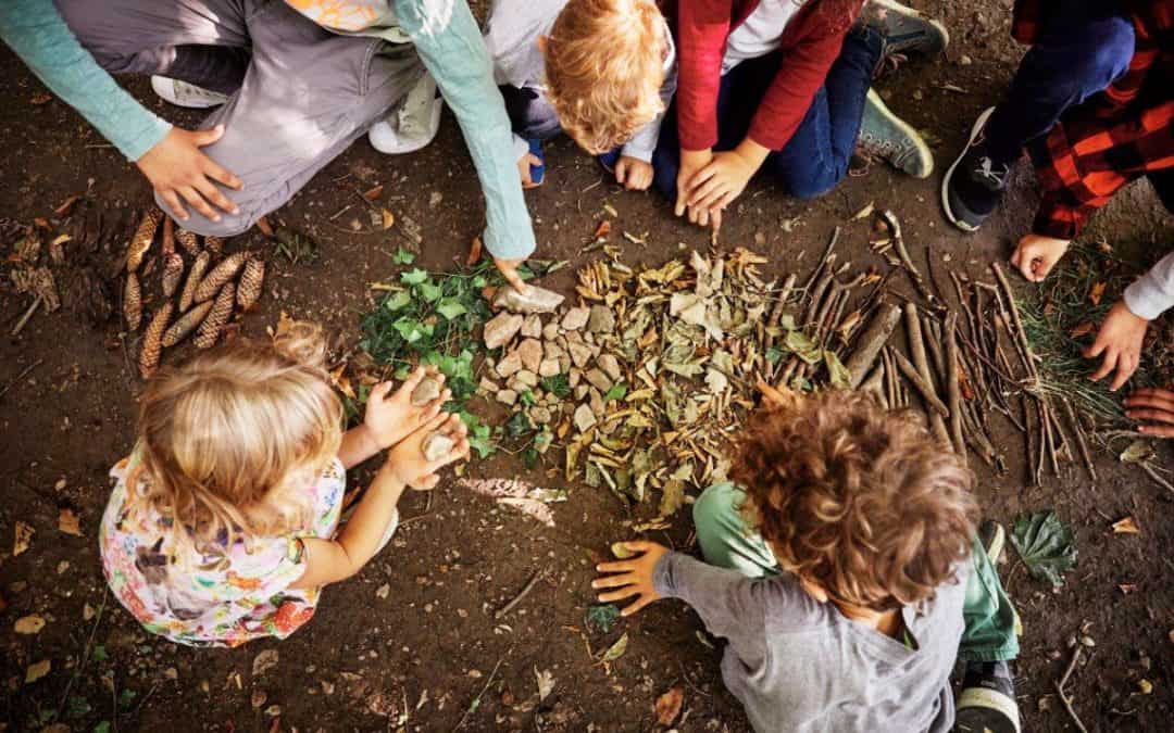 Auf Schatzsuche im Wald
