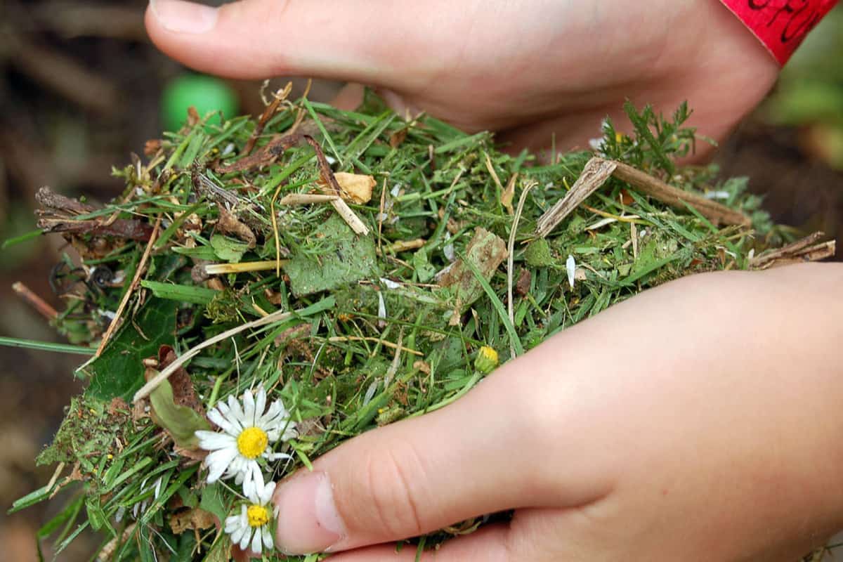 Grasschnitt(c)Donne_Beyer_WWF-D