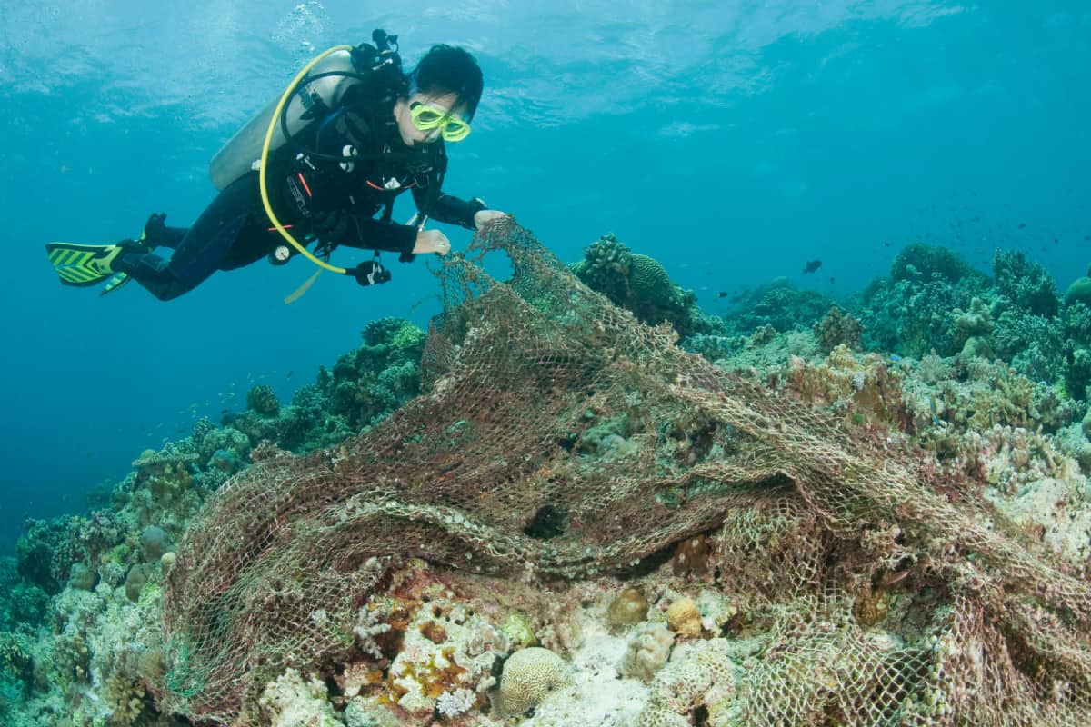 Ein Taucher entfernt "Geisternetze" aus dem Korallenriff