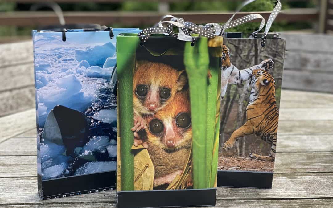 Basteltipp: Bunte Geschenktaschen