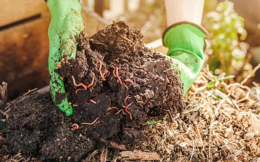 Bastle deine eigene Regenwurmbox!