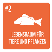 wwf-symbol-lebensraum-fuer-tiere-und-pflanzen-wwf-wasser-leben