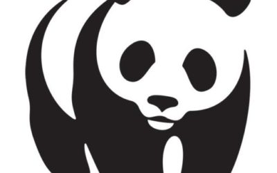 Naturschutz-Länderkonferenz: WWF fordert Verbesserungen beim Schutz von Lebensräumen und Arten