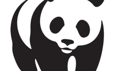 Teilnahmebedingungen WWF-Gewinnspiel