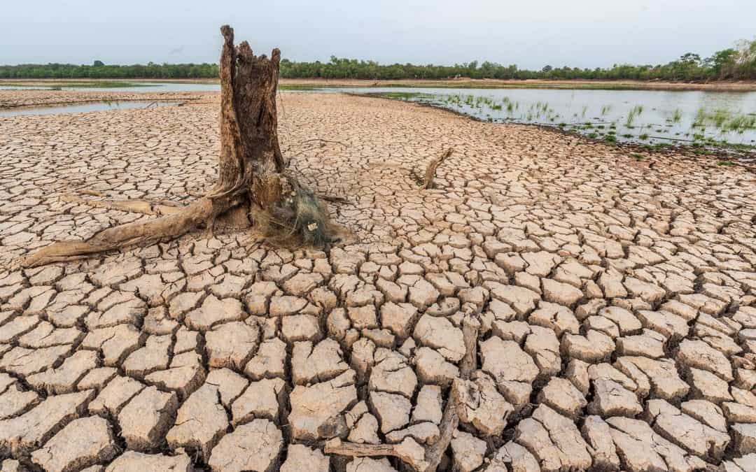 WWF: Massive Feuchtgebietszerstörung rächt sich in der Klimakrise
