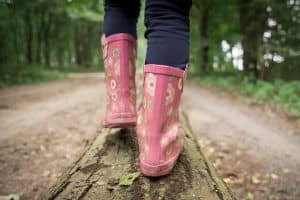 Erspüre den Wald vor deiner Haustüre