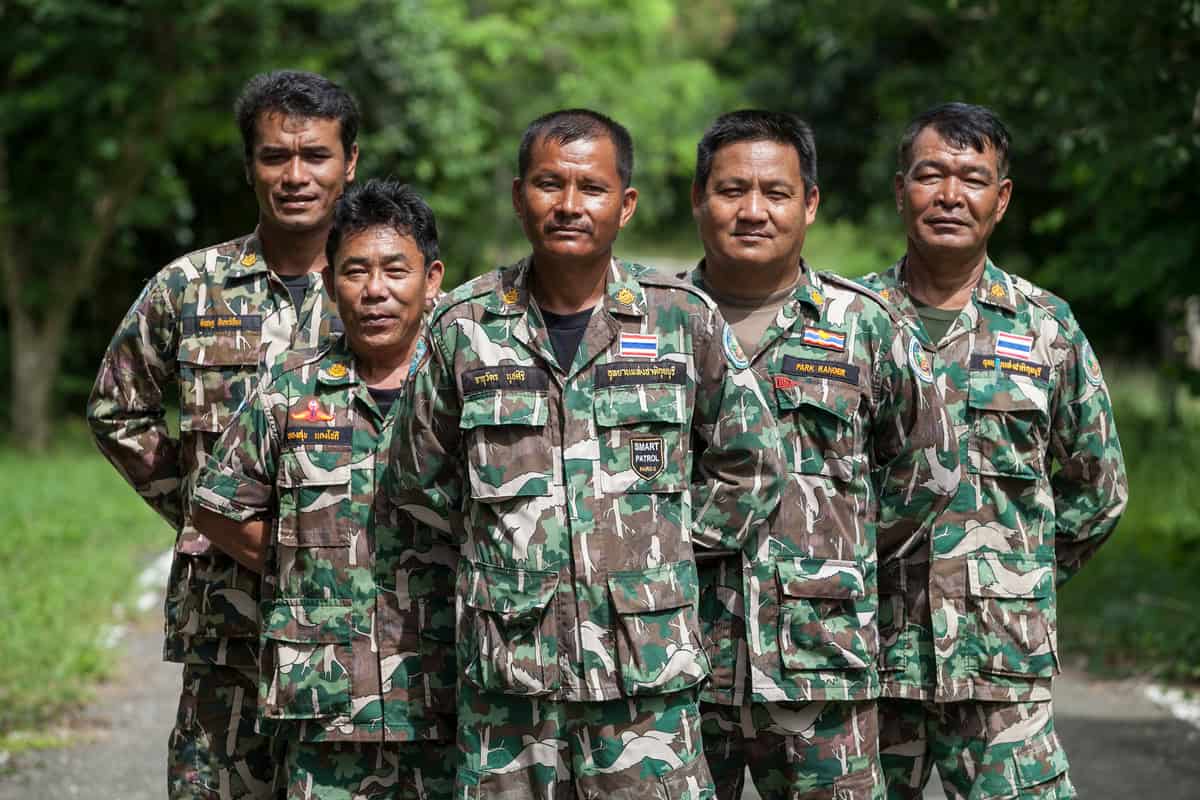 Nahaufnahme des Fußes eines toten Elefanten