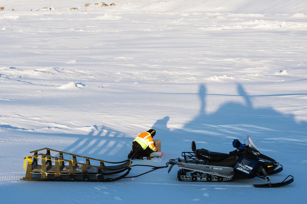 Training einer Eisbär-Patrouille