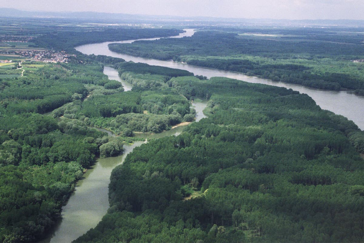 Flugaufnahme der Donauauen