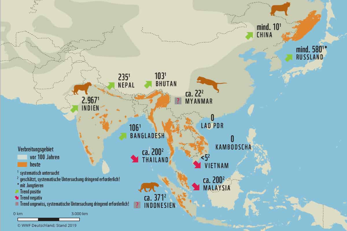 Karte: Verbreitungsgebiete der Tiger, Stand 2019 © WWF Deutschland